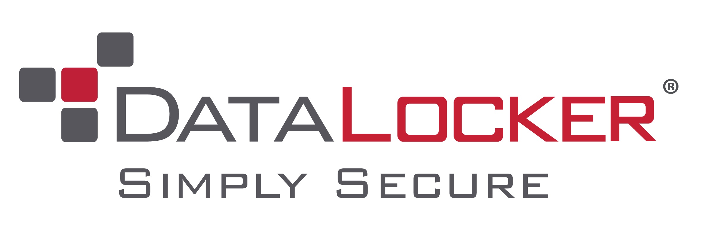 DataLocker_Logo